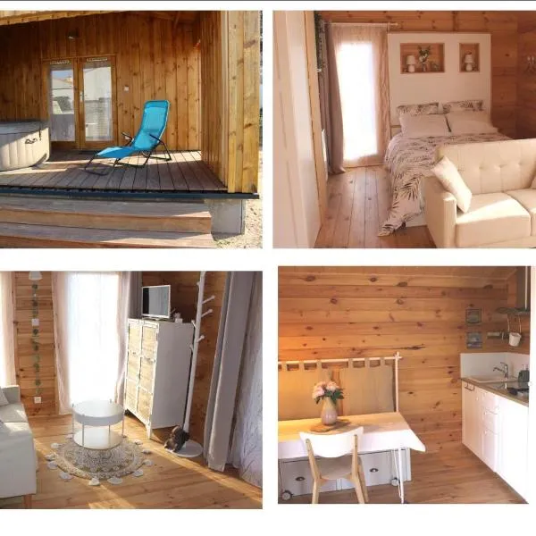 CHALET ESPRIT ZEN ET NATURE AVEC JACUZZI, hotell i Saint-Hilaire-de-Riez