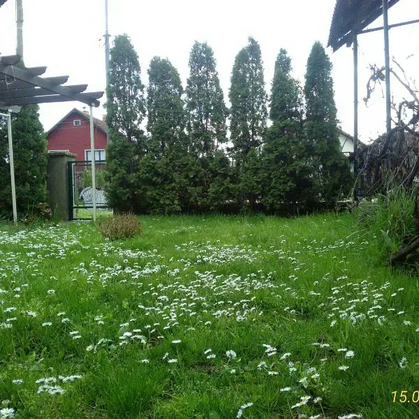 Kuća za odmor Jelena, hotel in Kladovo