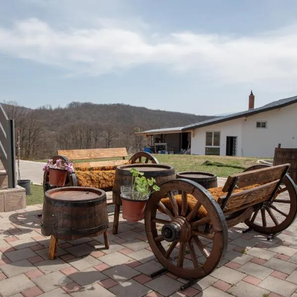 KONAK LJUBICA Rtanj, hotel u gradu Rtanj