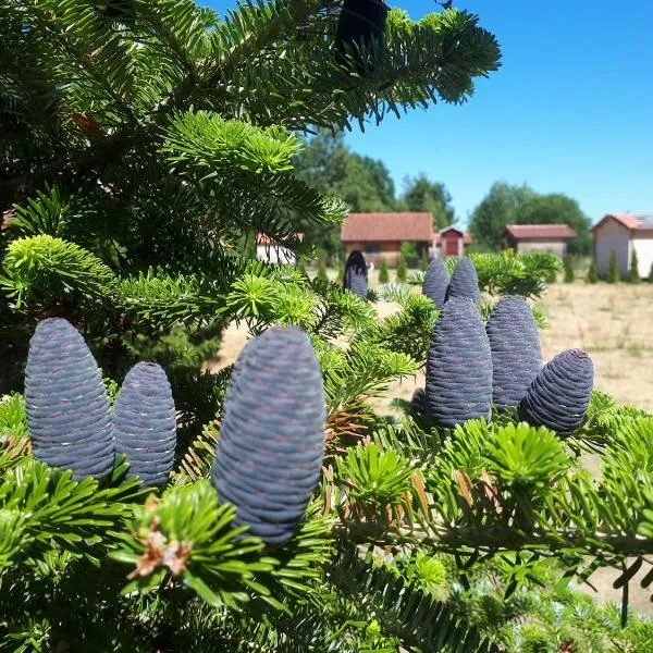 Päevatalu Camping, hotel v destinaci Vilusi