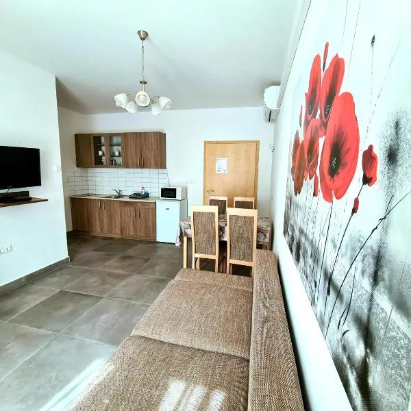 Regina Apartman Hegykő, hotel Hegykőn