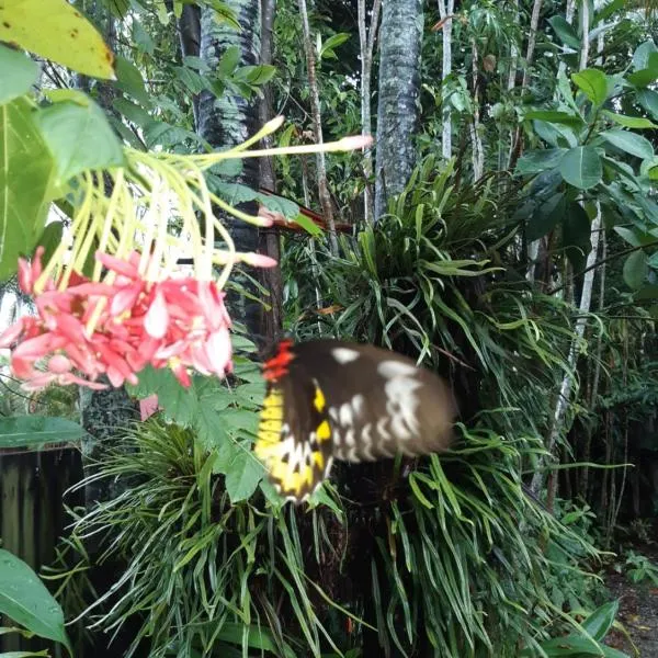 Travellers Paradise، فندق في كيرنز