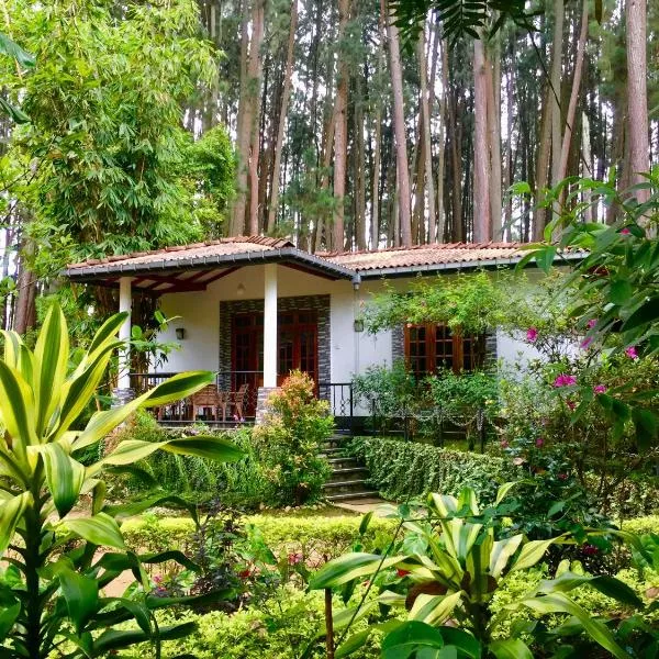 Gimanhala Diyathalawa, Hotel in Diyatalawa