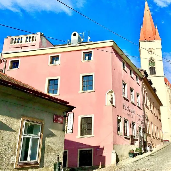 Boutique Apartments U Rolanda, hotel in Hluboké Mašŭvky