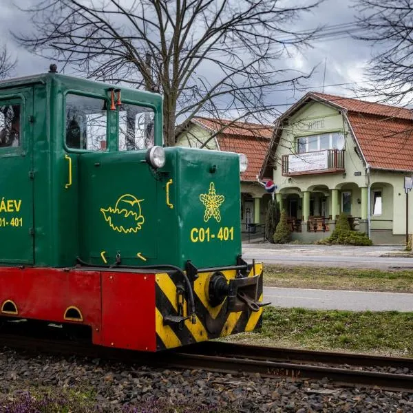 Megálló Wellness Panzió, hotel in Vilyvitány