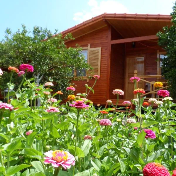 Ugur Pansiyon Bungalows، فندق في جيرالي