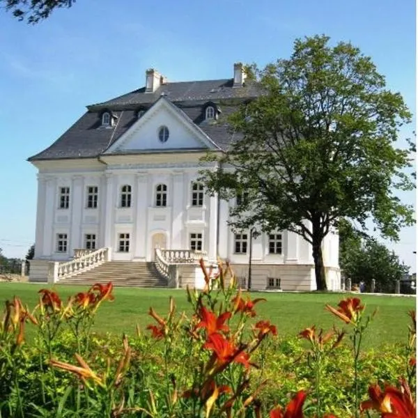 Hotel Pałac Borynia, hotel in Strumień