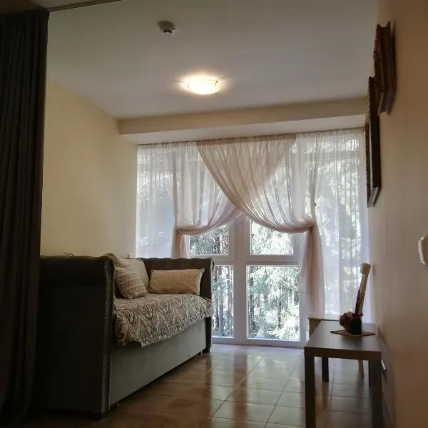 Family-friendly 2 rooms apartment with view to a forest, отель в Юодкранте