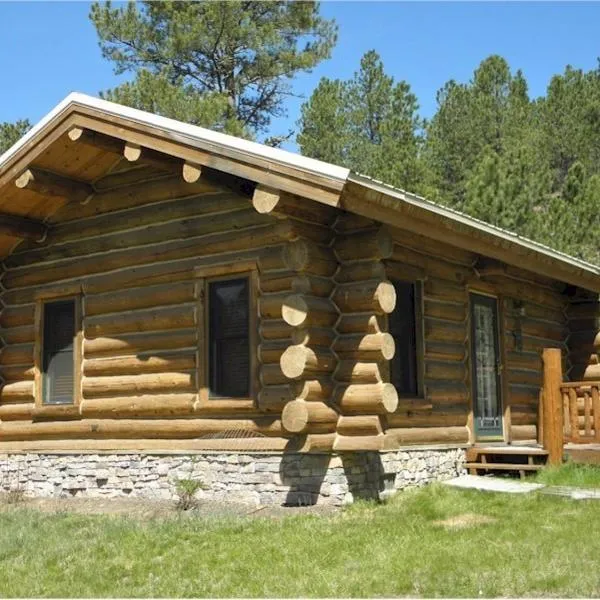 Renegade Log Cabin, hotel in Custer