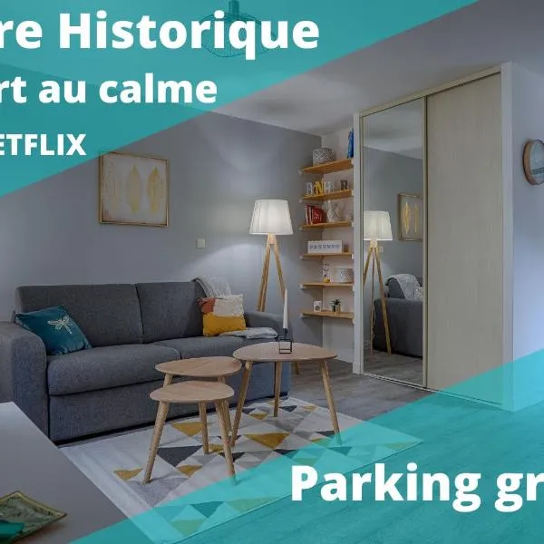 La chopine - grand studio, centre historique, hôtel de ville، فندق في رومان-سور-إيزير