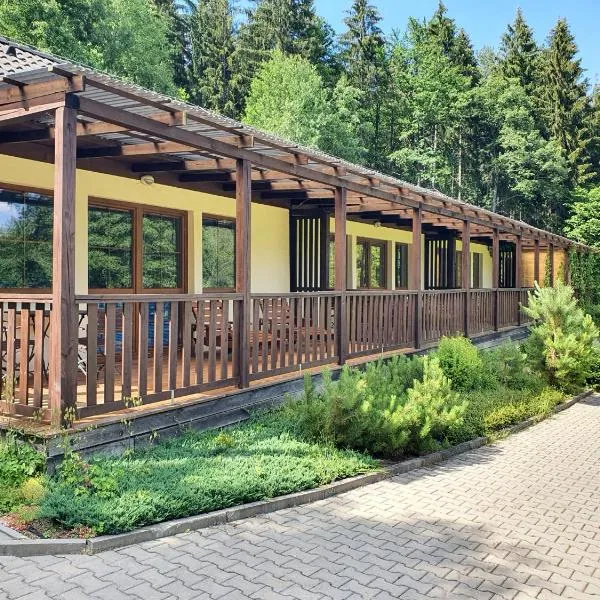 Resort Lesní Lázně, hotel sa Zvánovice