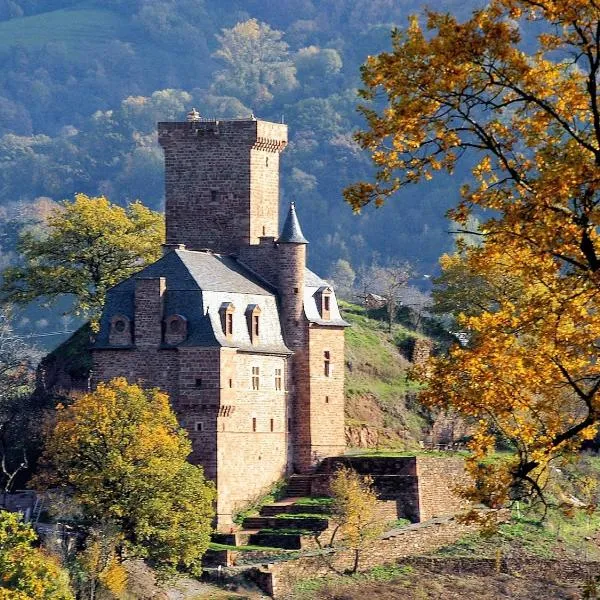 CHATEAU LA SERVAYRIE - Chambre d'hôtes, hotel di Marcillac-Vallon