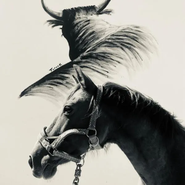 Gîtes Equestres Lou Caloun - Les Saintes Maries de la Mer, hôtel à Saintes-Maries-de-la-Mer