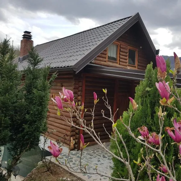 Brvnara - Winter house, готель у місті Kašići