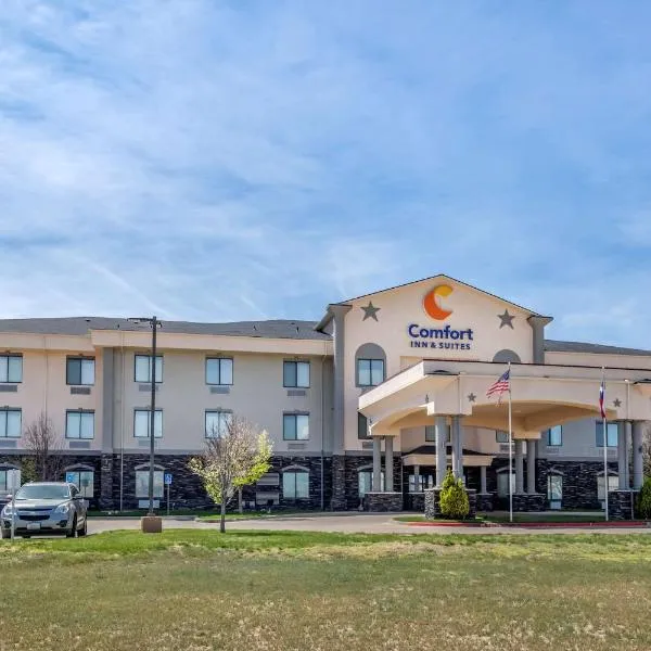 Comfort Inn & Suites, hotel in Lubbock