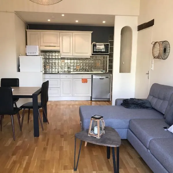 Vittel, Appt 55 m2, en face du parc Thermal, hotel in Vittel