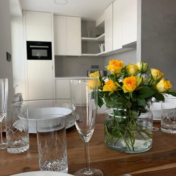 Luxury Flat in Brno, hotel in Brno