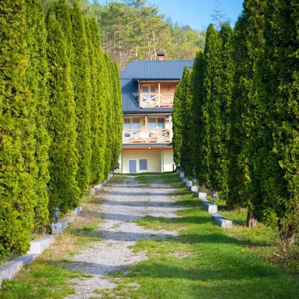 Гостинна садиба Пілігрім, hotel en Kolodiyevka