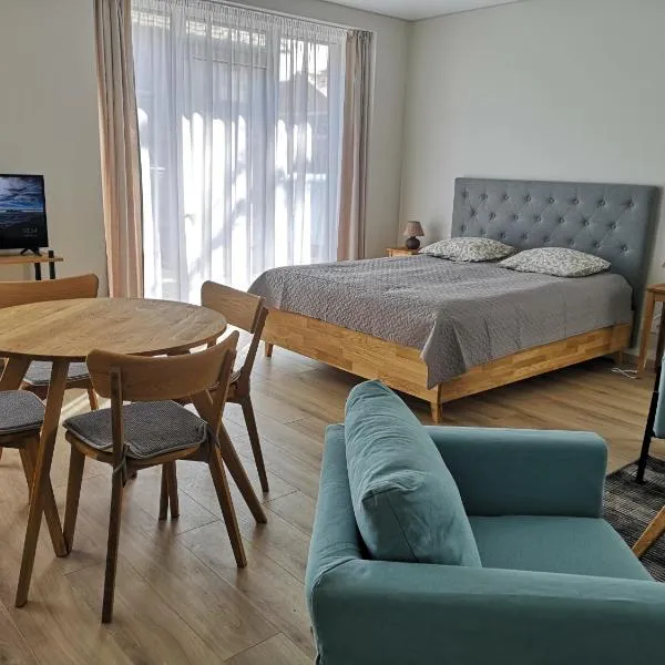 Centro apartamentai II, hotel in Birštonas