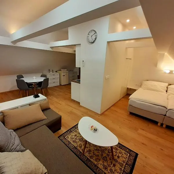 Apartmány v centru - Lázně Kynžvart, hotel v Lázních Kynžvart
