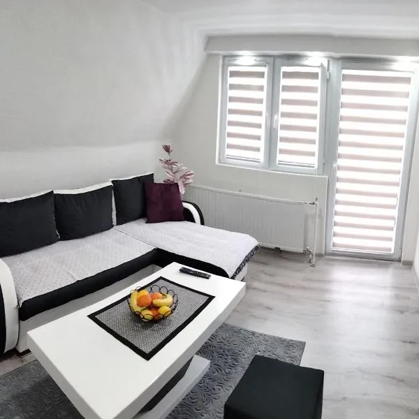 Apartmani Zlatarski DAR, hotel in Nova Varoš
