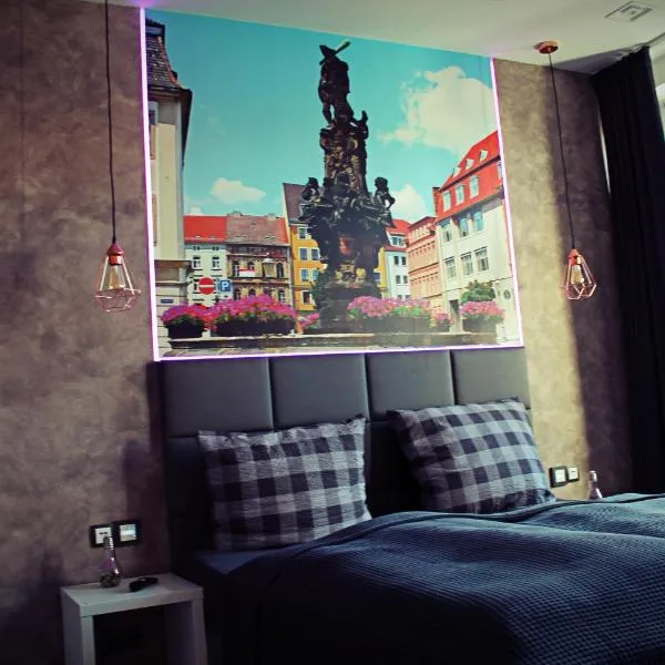 SALZHAUSBLICK FAMILY APARTMENTS - Zentrale Lage am Salzhaus - MwSt-Rechnung verfügbar, hotel in Zittau