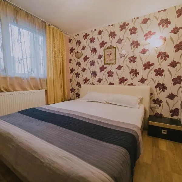 Hostel Denisa, hôtel à Cîndeşti