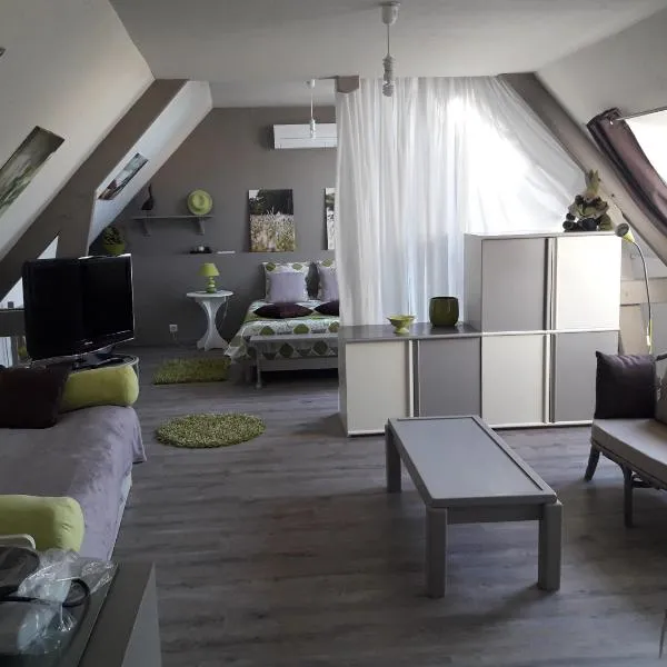 Logement indépendant avec piscine couverte, hôtel à Coulaines