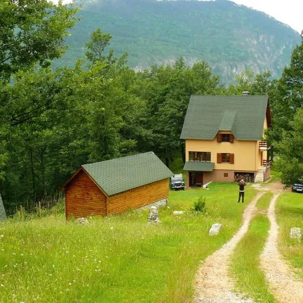 Guest House Tara Canyon, hotel di Pljevlja