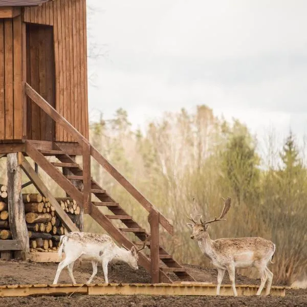 Arčiau gamtos Anykščiai, отель в городе Balninkai