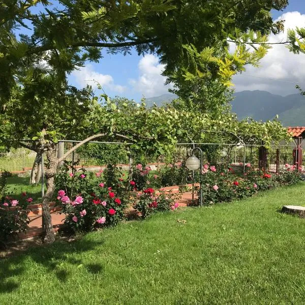 Alma Migrante bed&wine, hotel di Telese