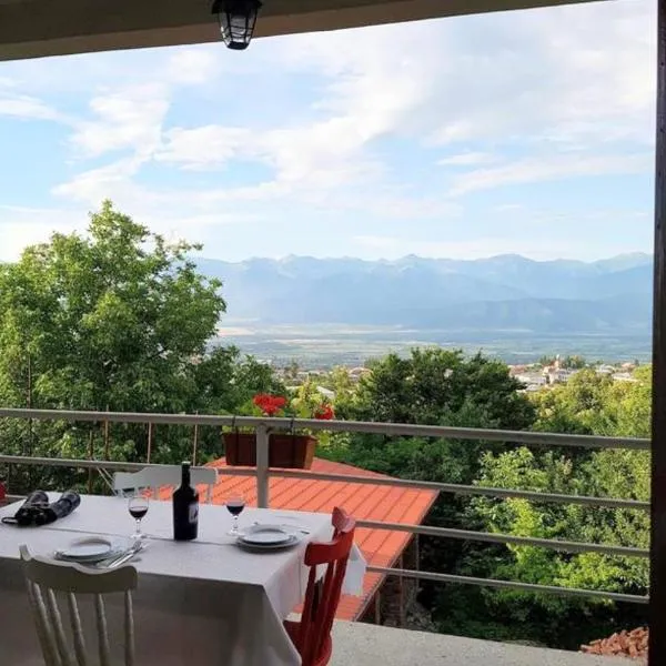 Omsi House, hotel a Telavi