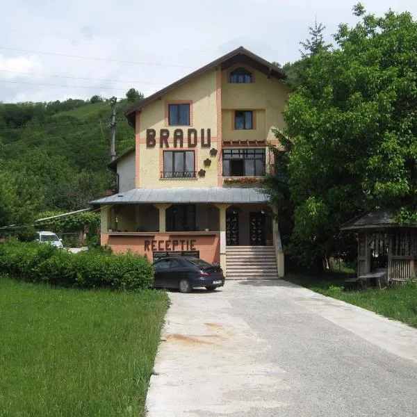 Pensiunea BRADU, hotel in Almaş