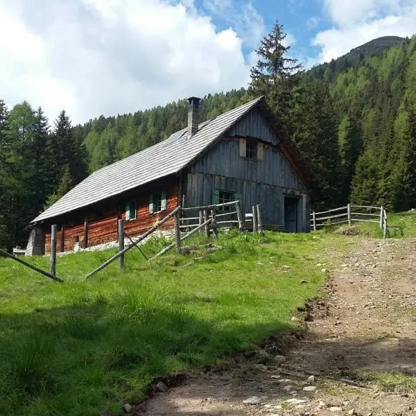 Almhütte Prem 1, hotel en Ramingstein