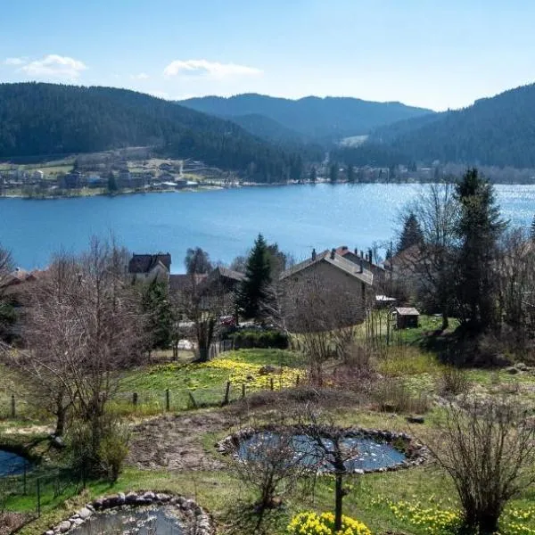 Moho Mountain Home, Hotel in Gérardmer