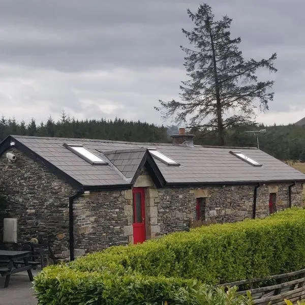 Pat Tadys, hotel in Manorhamilton