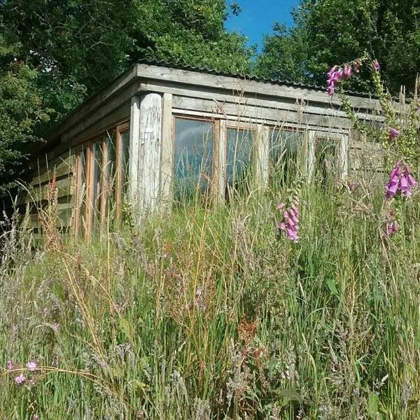 FoxesDen, Unique Eco Cabin, Dartmoor views, hotell i South Brent