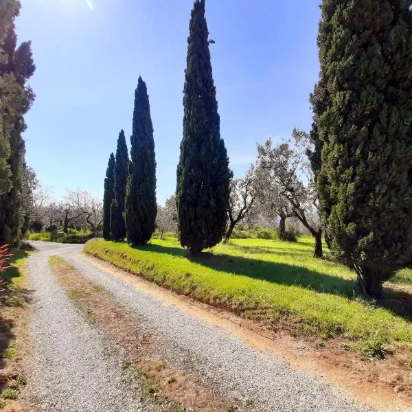 Il Palagio, hotel a Vinci