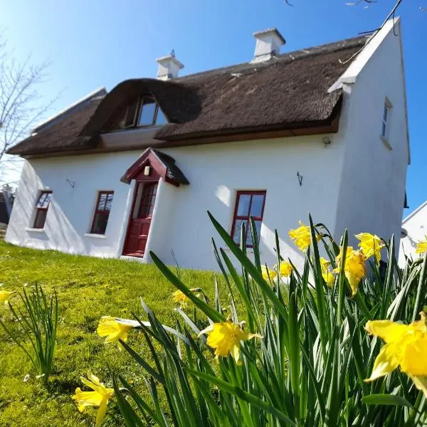 Donegal Thatched Cottage, hotel en Doirí Beaga