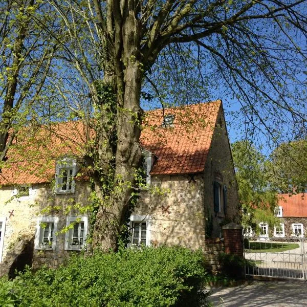 La Ferme Du Dizacre, hotel en Fiennes