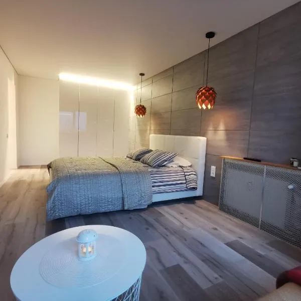 Buto nuoma Dariaus ir Girėno gatvėje, hotell i Telšiai