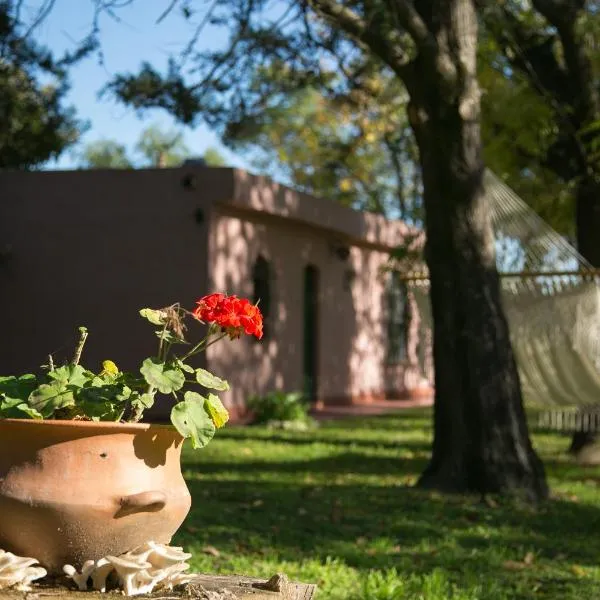 Posada Don Salvador、サン・アントニオ・デ・アレコのホテル