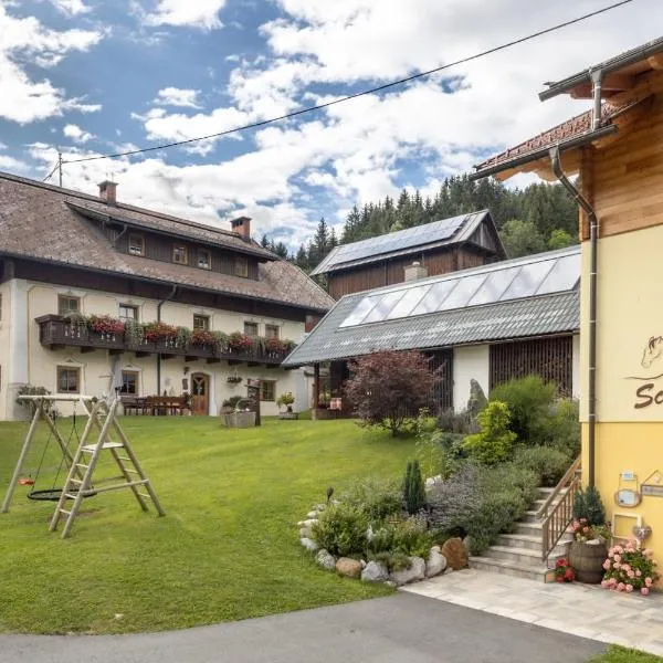 Historischer Bauernhof Schabus, hotel v Tröpolachu