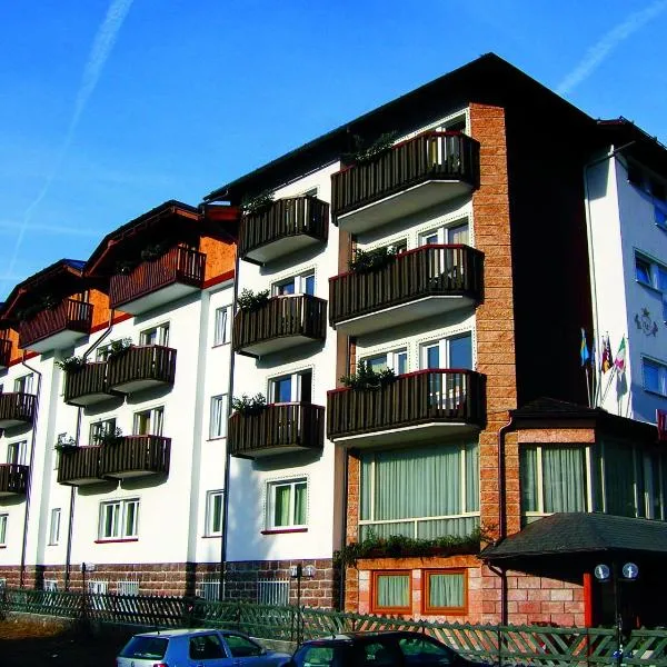 Hotel Andalo: Andalo'da bir otel