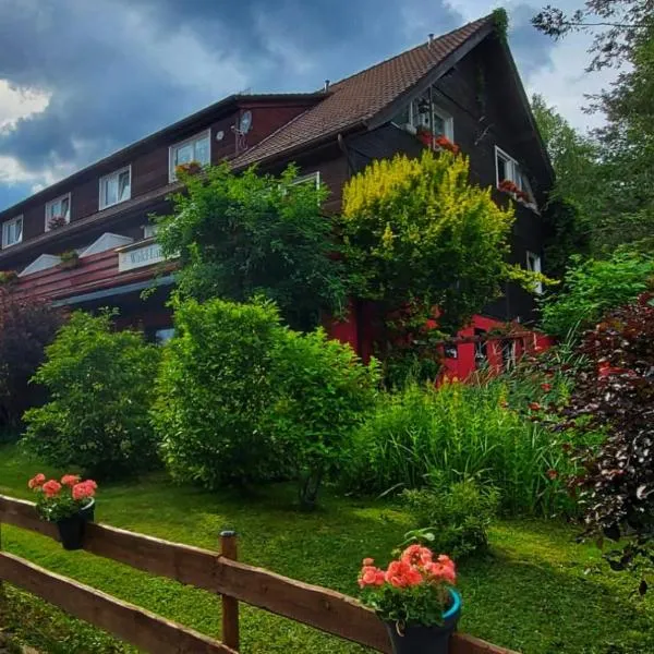 Wald-Landhaus, hotel in Hahnenklee-Bockswiese