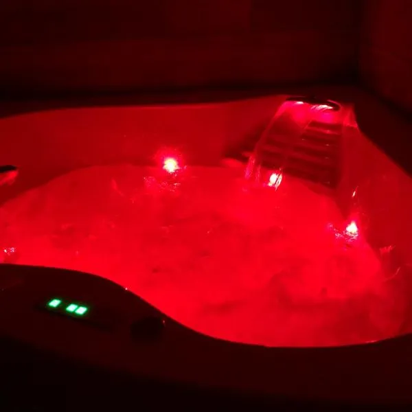 Studio cocooning Spa, lit XXL, cour extérieure, hotel in Le Puy en Velay
