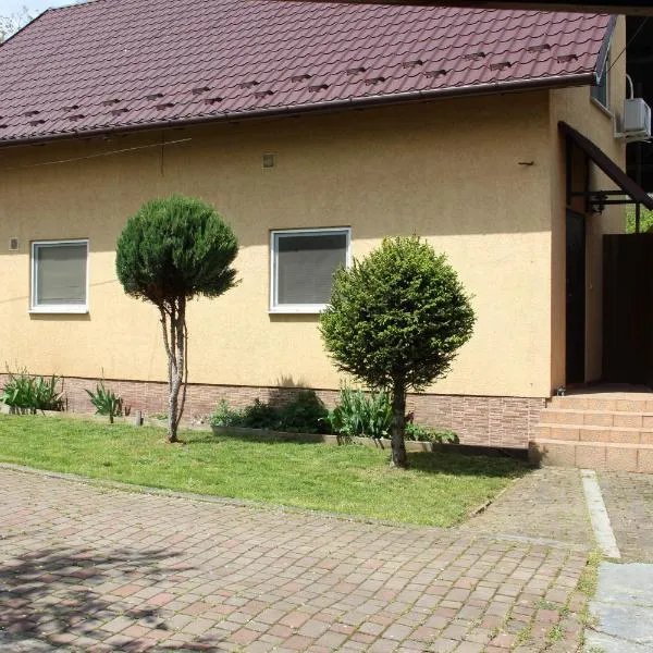 Роман, hotel in Berehove