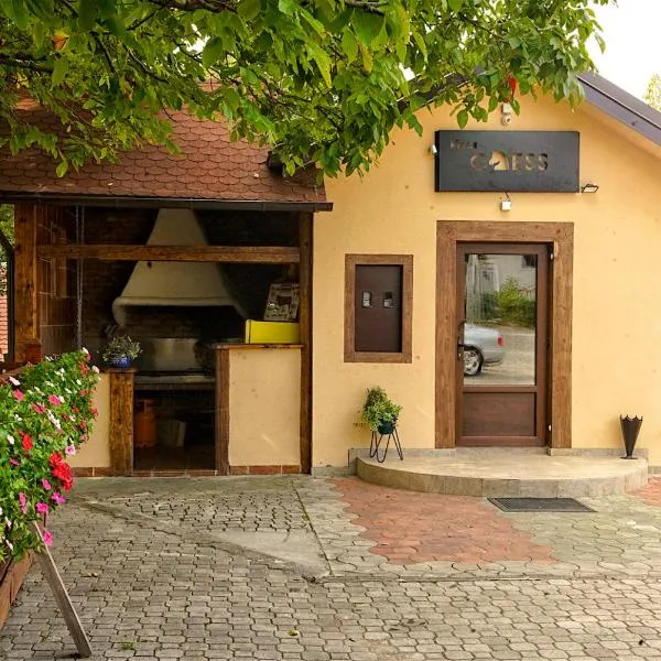 Vila Chess, hotel in Belgrade