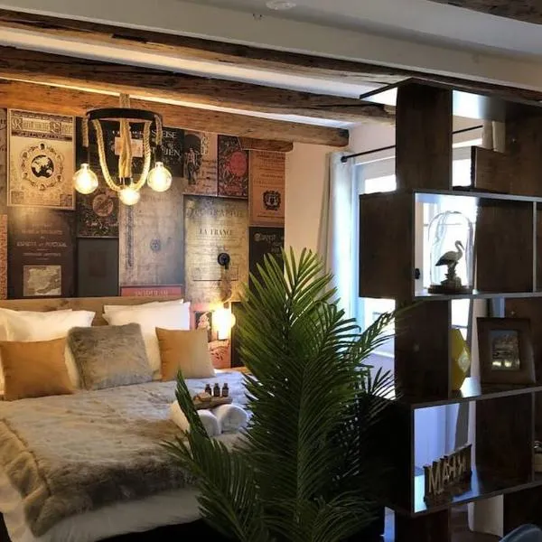 Un petit Vintage à Colmar, hotel v destinaci Colmar