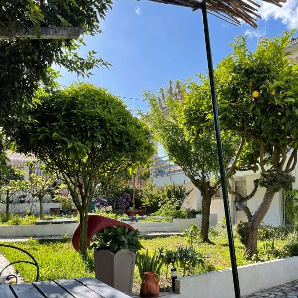 Surf & Kite - Villa Nortada，夏內卡的飯店